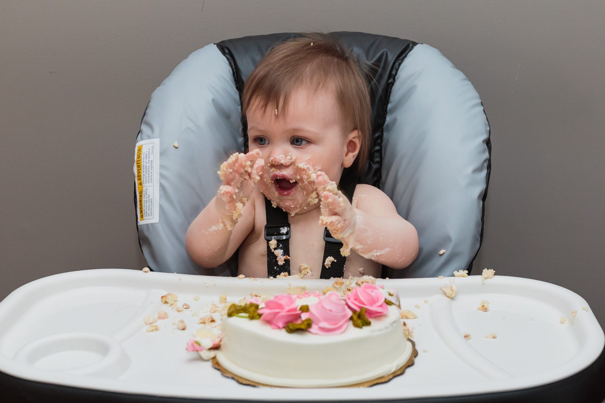 first birthday cake smash portrait